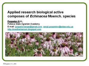 Applied research biological active composes of Echinacea Moench