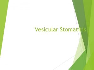 Vesicular Stomatitis Overview Organism Economic Impact Epidemiology Transmission