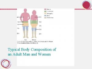 Typical Body Composition of an Adult Man and