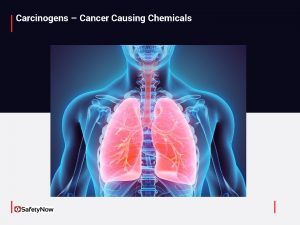 Carcinogens Cancer Causing Chemicals Whats at Stake Carcinogen