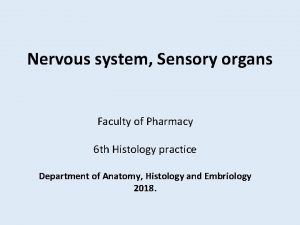 Nervous system Sensory organs Faculty of Pharmacy 6