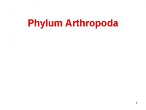 Phylum Arthropoda 1 Jointed Appendages 2 Number of