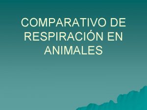 COMPARATIVO DE RESPIRACIN EN ANIMALES Respiracin directa Intercambio