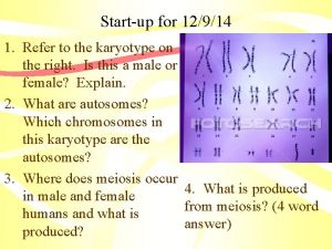 Startup for 12914 1 Refer to the karyotype