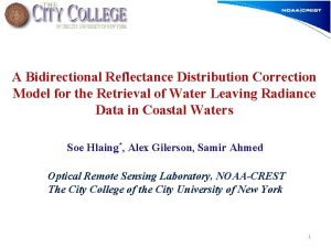 A Bidirectional Reflectance Distribution Correction Model for the