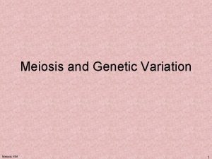 Meiosis and Genetic Variation Meiosis KM 1 Genome