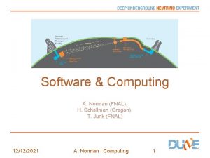 Software Computing A Norman FNAL H Schellman Oregon