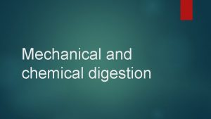 Mechanical and chemical digestion What is Mechanical Digestion