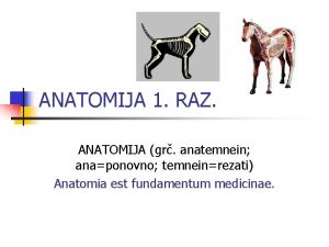 ANATOMIJA 1 RAZ ANATOMIJA gr anatemnein anaponovno temneinrezati