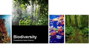 Biodiversity Presented by Kesler Science Essential Question 1