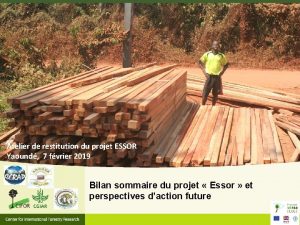 Atelier de restitution du projet ESSOR Yaound 7