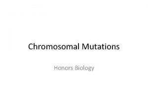 Chromosomal Mutations Honors Biology Review Gene Mutations Micromutations
