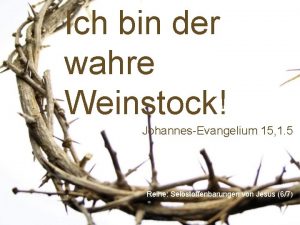 Ich bin der wahre Weinstock JohannesEvangelium 15 1