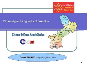 Cidan rgion Languedoc Roussillon Daniel BRIAND dlgu rgional