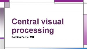 Central visual processing Domina Petric MD Introduction The