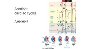 Another cardiac cycle AHHHH 20 1 Cardiac cycle