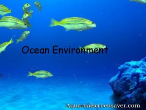 Ocean Environment The ocean is divided into two