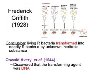 Frederick Griffith 1928 Conclusion living R bacteria transformed