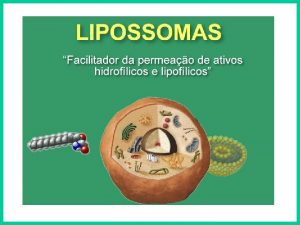 INTRODUO Lipossomas so estruturas esfricas em que uma