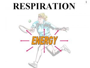 RESPIRATION 1 Comparing Photosynthesis Respiration Photosynthesis Cellular Respiration