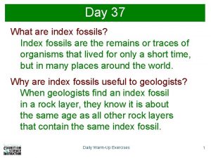 Day 37 What are index fossils Index fossils