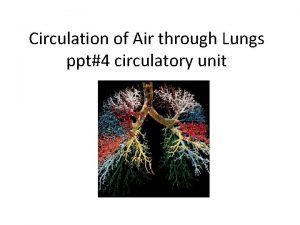 Circulation of Air through Lungs ppt4 circulatory unit