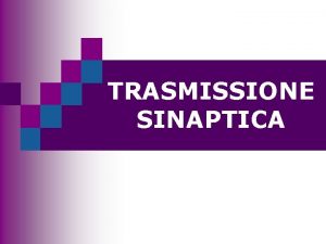 TRASMISSIONE SINAPTICA Le sinapsi TRASMISSIONE SINAPTICA CELLULA PRESINAPTICA