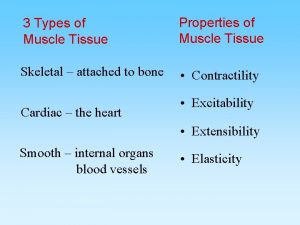 3 Types of Muscle Tissue Properties of Muscle