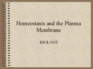 Homeostasis and the Plasma Membrane BIOLOGY Maintaining Balance