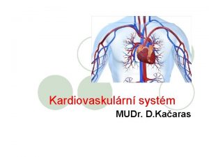Kardiovaskulrn systm MUDr D Kaaras Jak to funguje