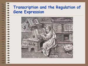 Transcription and the Regulation of Gene Expression The