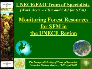 UNECEFAO Team of Specialists Work Area FRA and