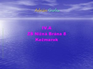 Adrin Gurka IV A Z Nin Brna 8