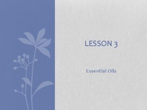 LESSON 3 Essential Oils Essential Oils Essential Oils