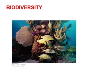 BIODIVERSITY Biodiversity is the number and relative abundance