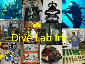 Dive Lab Inc DIVE LAB Inc Nongovernment For