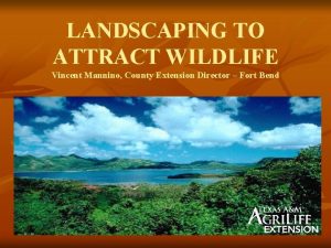 LANDSCAPING TO ATTRACT WILDLIFE Vincent Mannino County Extension