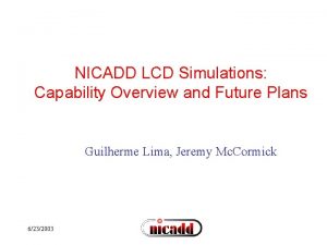 NICADD LCD Simulations Capability Overview and Future Plans