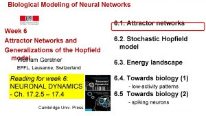 Biological Modeling of Neural Networks 6 1 Attractor