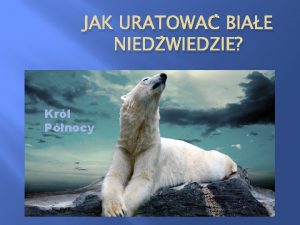 JAK URATOWA BIAE NIEDWIEDZIE Krl Pnocy Z EWOLUCJI