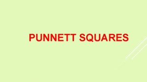 PUNNETT SQUARES PUNNETT SQUARES AND PEDIGREES Punnett Square