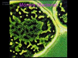 Leaving Cert Biology 3 1 Diversity of Organisms