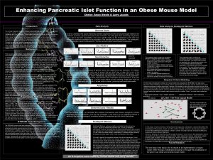 Enhancing Pancreatic Islet Function in an Obese Mouse