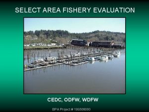 SELECT AREA FISHERY EVALUATION CEDC ODFW WDFW BPA