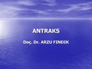 ANTRAKS Do Dr ARZU FINDIK Giri Anthraks evcil