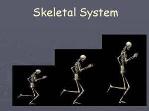 Skeletal System 5 Functions of the Skeletal System