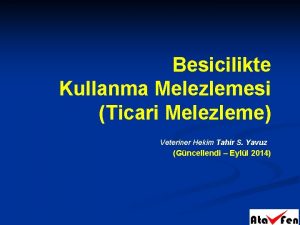 Besicilikte Kullanma Melezlemesi Ticari Melezleme Veteriner Hekim Tahir