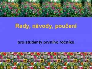 Rady nvody pouen pro studenty prvnho ronku Nov