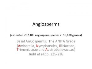 Angiosperms estimated 257 400 angiosperm species in 13