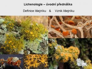 Lichenologie vodn pednka Definice liejnku Vznik liejnku Liejnk